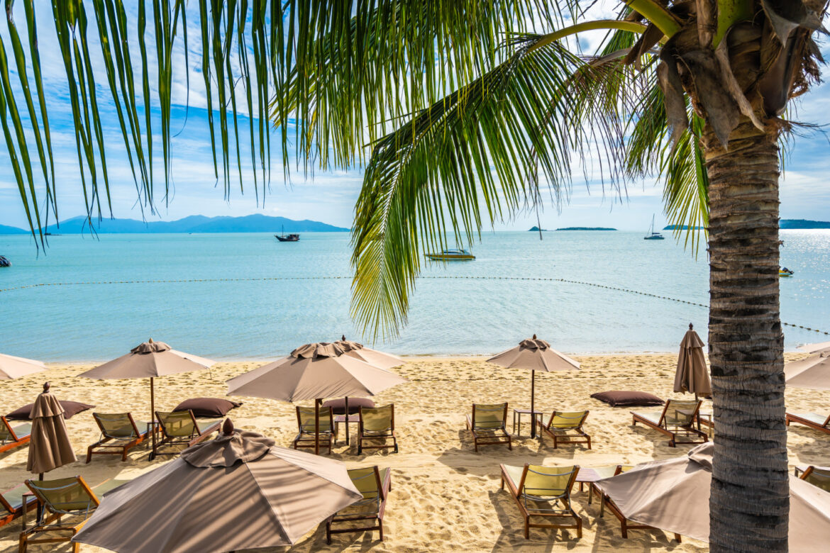 DJ szolgáltatás, DJ Rendezvény, DJ budapest