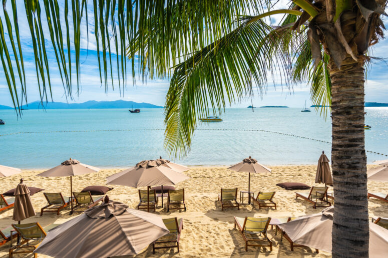 DJ szolgáltatás, DJ Rendezvény, DJ budapest