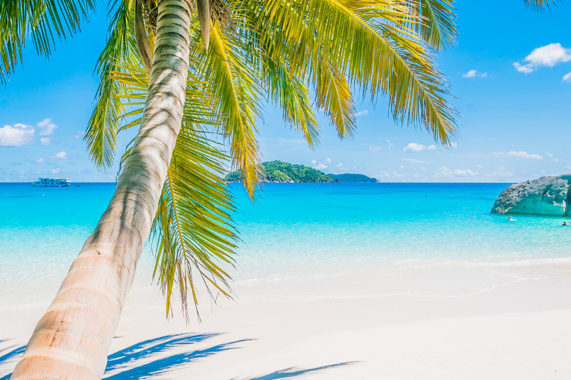 dj szolgáltatás, dj mix, dj live mix, chillout dj, afro house mix