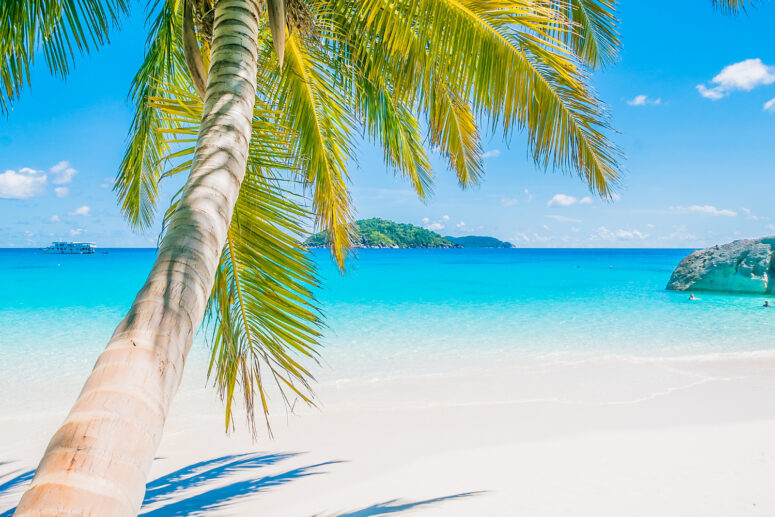 dj szolgáltatás, dj mix, dj live mix, chillout dj, afro house mix