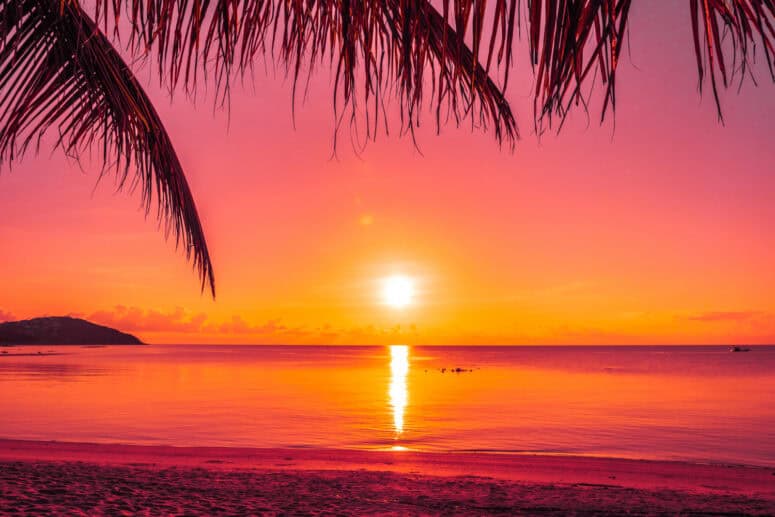 DJ szolgáltatás DJ mikes Budapest Maglód DJ mix